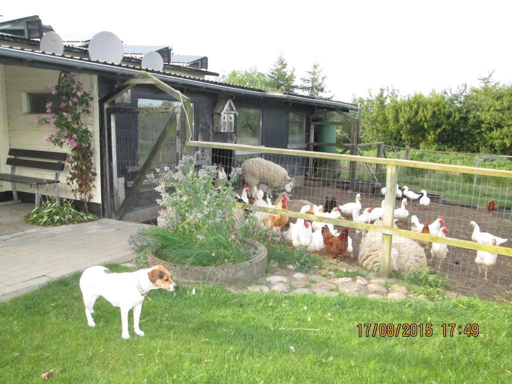 Bakkegarden Homestay Spottrup 外观 照片